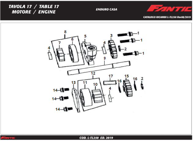 Pompe a Huile_TL250 Enduro CASA - MY2019.png